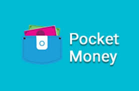 Pocket Money App Review (2025)